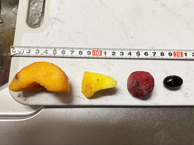 4種のフルーツの量や大きさのバランスは