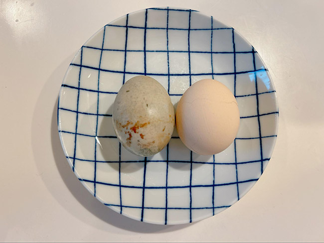 ゆで卵（殻付き）と比較
